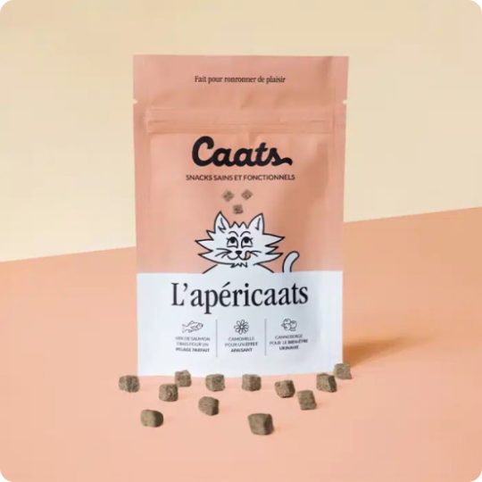 friandises pour chat